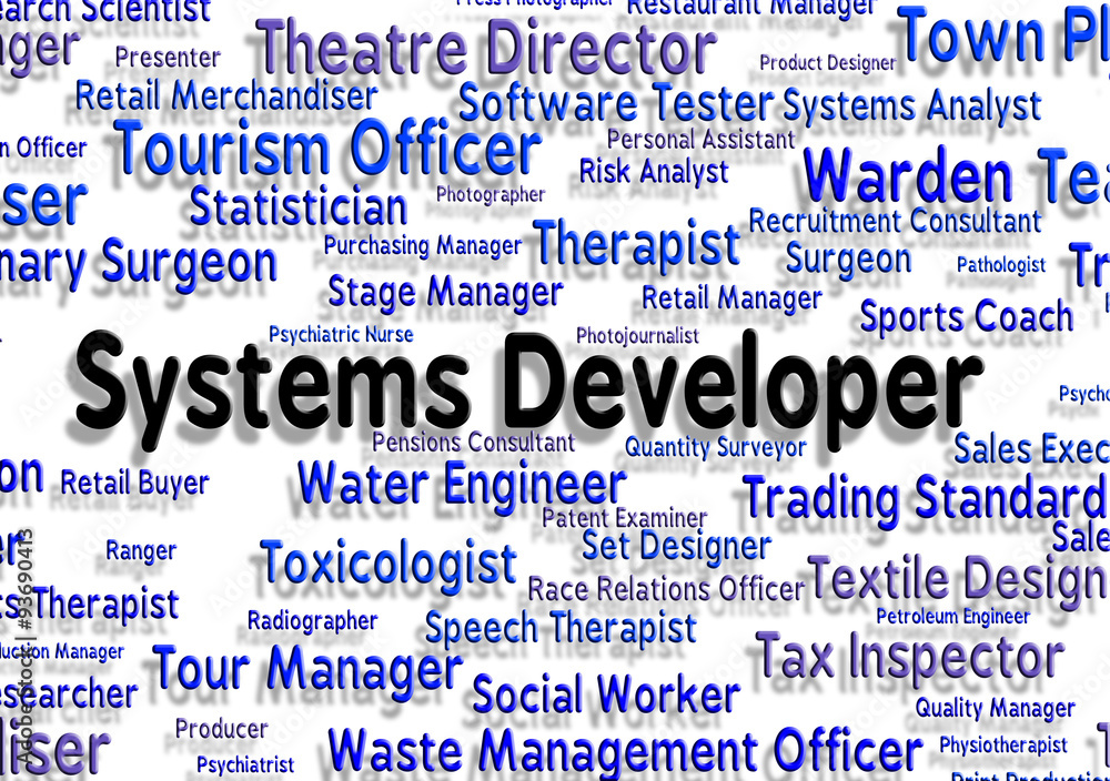 Poster systems developer represents developers word and career