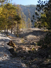 Countryside with stones