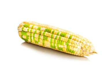 Concept of corn maize with BIOFUEL on corn seeds kernels