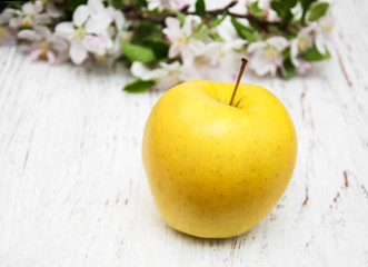 apple and apple tree blossoms