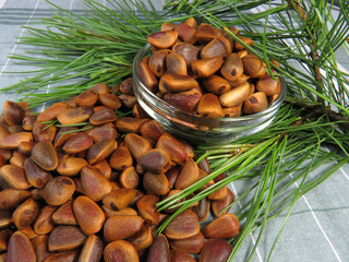 A bunch and a Cup of pine nuts together with a sprig of pine