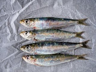 Fresh sardines on kitchen paper
