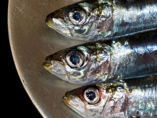 Three fresh sardines on a plate. Fish.Pilchards.