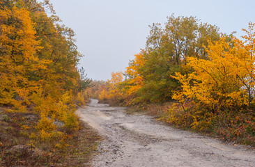 Empty mountain road at autumnal season in Crimean peninsula