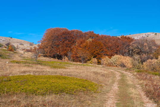 Road leading to Babuhan Yaila natural reserve in Crimean peninsula