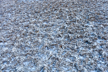 Badwater Basin, Death Valley National Park, California, USA © Björn Alberts