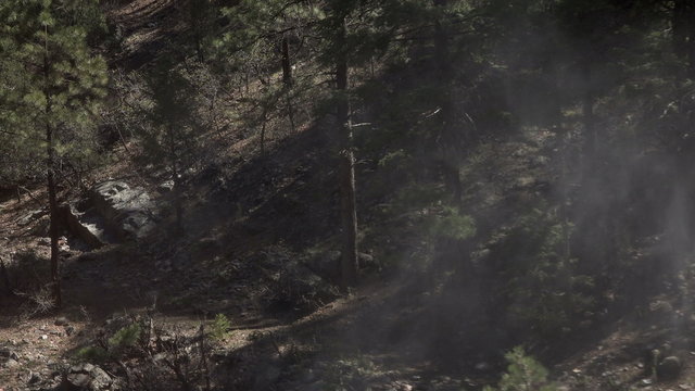 Historic coal engine train discharge steam forest 4K 127