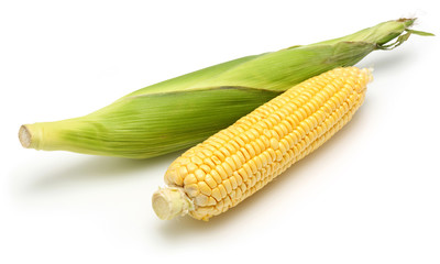 Corn