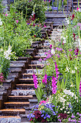 Fototapeta premium Mainau Island