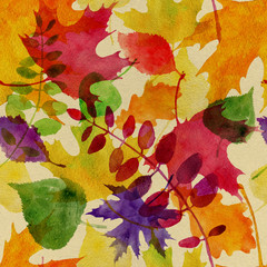 autumn leaves