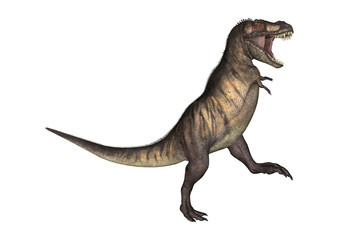 Obraz na płótnie Canvas Dinosaur Tyrannosaurus