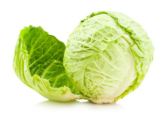 Cabbage