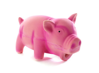 pig toy