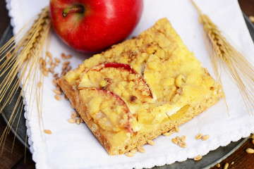 Vollkornkuchen