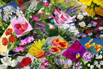 Flowers collage