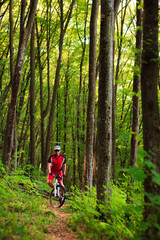 Obraz premium Mountain Bike cyclist riding outdoor