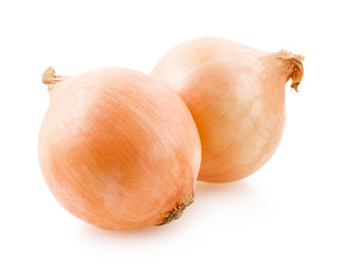 Onion