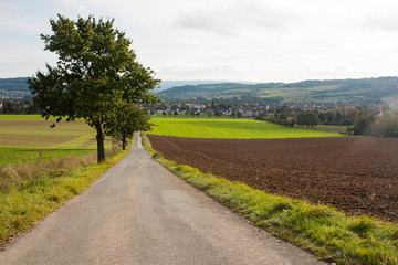 Fototapeta na wymiar An agricultural landscape with a road and fields in Bad Pyrmont, Germany.