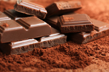 tender milk chocolate and cinnamon close up