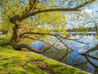 Castle Lake near Frederiksborg Castle in Hillerod, Denmark