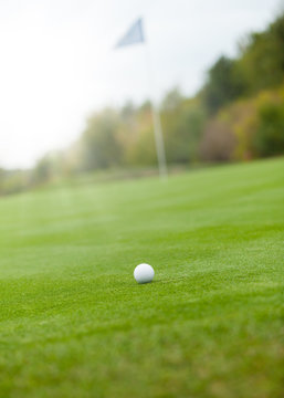 Golf ball on the green lawn