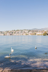 Lugano, Stadt, Altstadt, Altstadthäuser, Uferpromenade, See, Luganersee, Seeufer, Seerundfahrt, Ausflugsschiffe, Einkaufsstrasse, Tessin, Schweiz