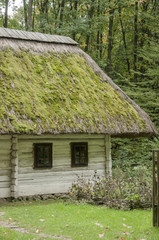 Fototapeta na wymiar Old wooden house, white with a thatched roof covered with moss i