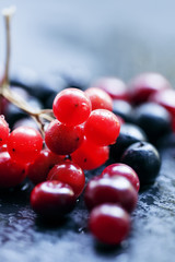 Cranberry, cranberries, cranberry and chokeberry on a dark stone