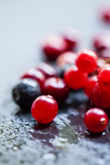 Cranberry, cranberries, cranberry and chokeberry on a dark stone