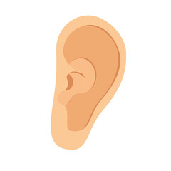 Ear vector