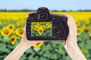 Photographer with camera at work