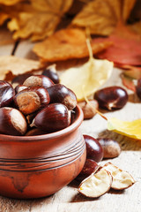 Edible chestnut harvest in a clay pot in the autumn with fallen