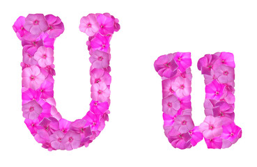 letter of the alphabet made up of pink phlox flowers