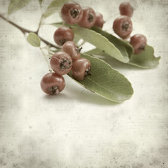 textured old paper background