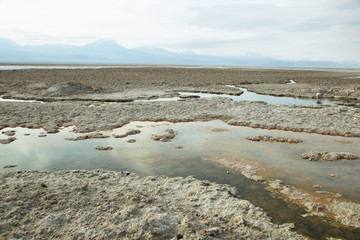 Salt lake lagoon Chaxa