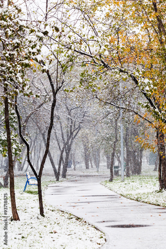 Poster first snowfall in urban park in autumn