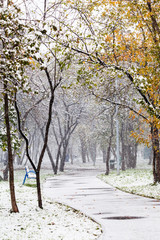 first snowfall in urban park in autumn