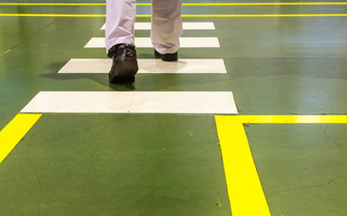 Zebra Pedestrian Crossing In Factory