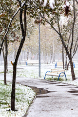 first snow in city park in autumn