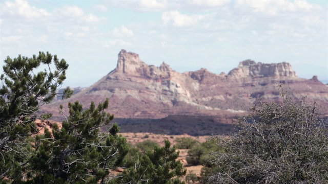 Southwest desert Utah pine trees sandstone mountain HD 9919