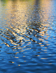 Autumn color water background with orange blue and yellow colors in October.