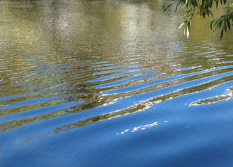 Autumn color water background with orange blue and yellow colors in October.