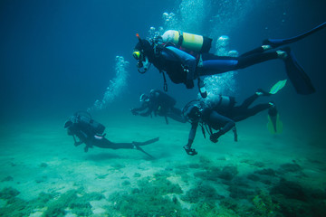 Vier duikers onder water