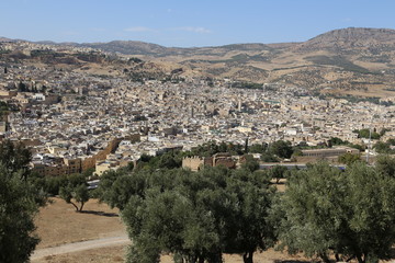 Panoramic view of Fez