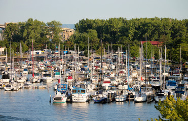 Boats Docked at a Marina