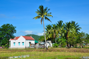 vietnamese typical house in countryside
