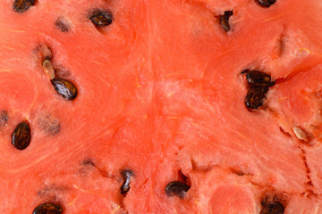 Red watermelon closeup