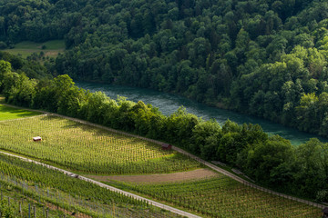 Rhine river view from Buchberg in Switzerland