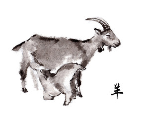 Mother goat nursing baby-goat, oriental ink painting with Chinese hieroglyph "goat". Symbol of the new year of goat, sheep.