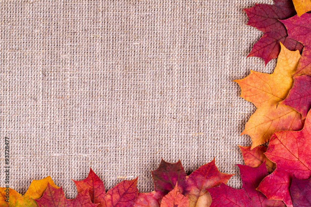 Wall mural background from autumn leaves of a maple on burlap